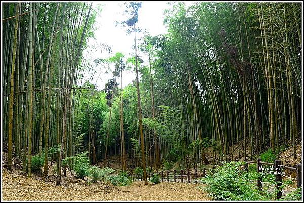 石壁木馬古道-五元二角-雲嶺之丘