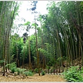 石壁木馬古道-五元二角-雲嶺之丘