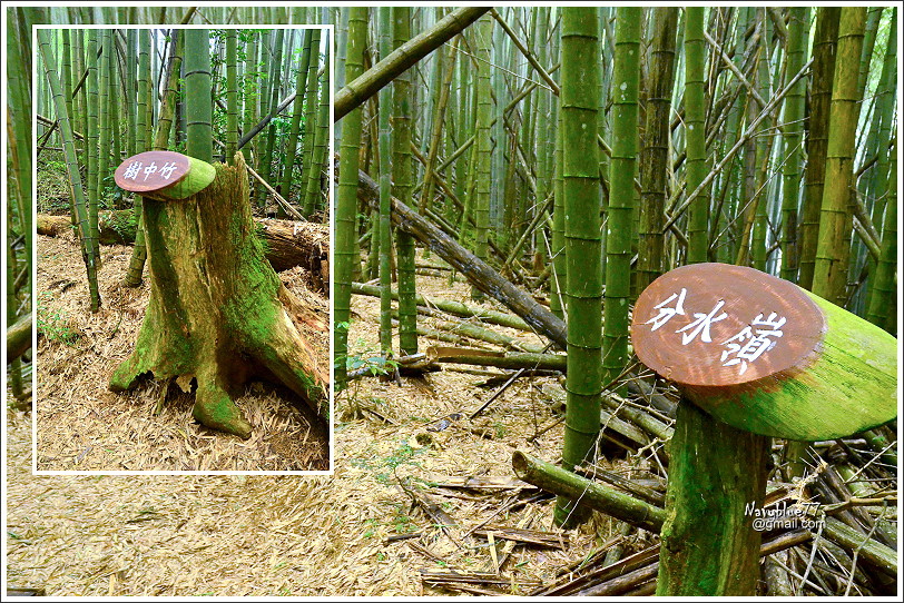 石壁木馬古道-五元二角-雲嶺之丘