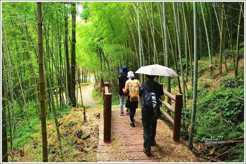 石壁木馬古道-五元二角-雲嶺之丘