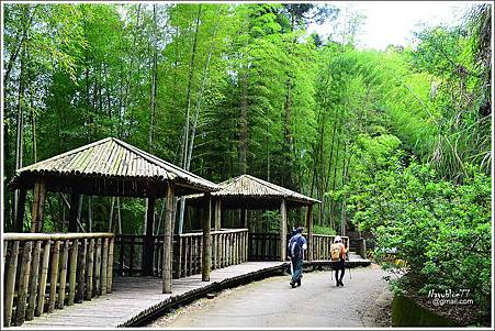 石壁木馬古道-五元二角-雲嶺之丘