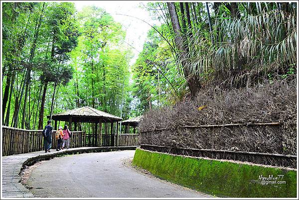 石壁木馬古道-五元二角-雲嶺之丘