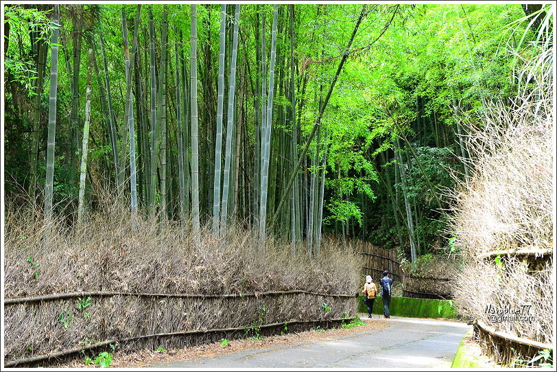 石壁木馬古道-五元二角-雲嶺之丘