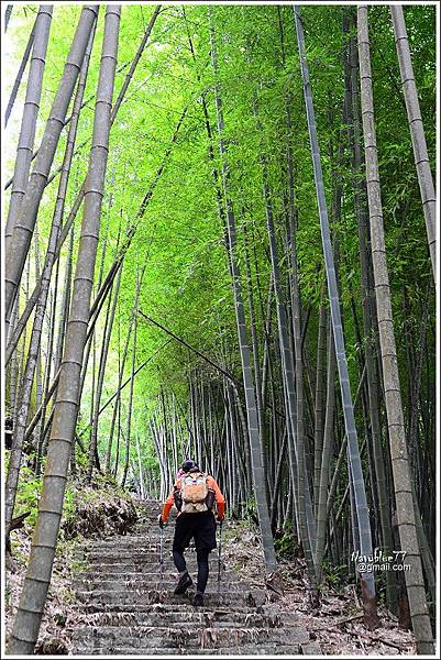 石壁木馬古道-五元二角-雲嶺之丘