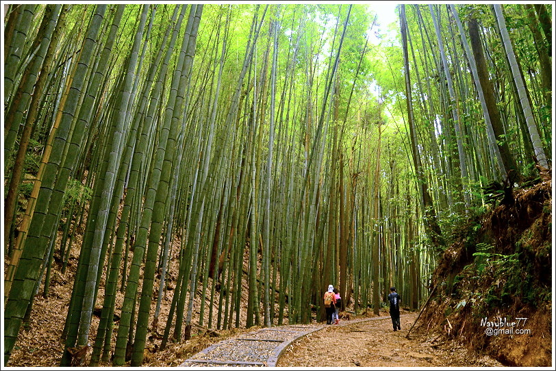 石壁木馬古道-五元二角-雲嶺之丘