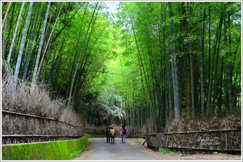 石壁木馬古道-五元二角-雲嶺之丘