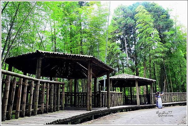 石壁木馬古道-五元二角-雲嶺之丘