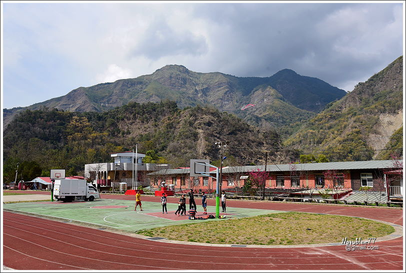 阿里山達邦部落