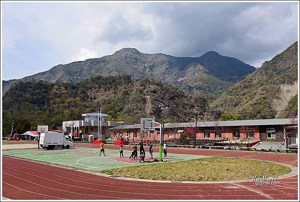 阿里山達邦部落