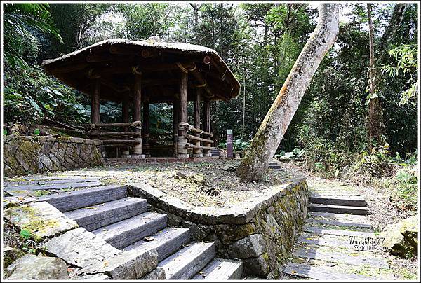 阿里山達邦部落