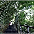 特富野步道 (22).JPG