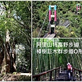 特富野步道 (41).JPG