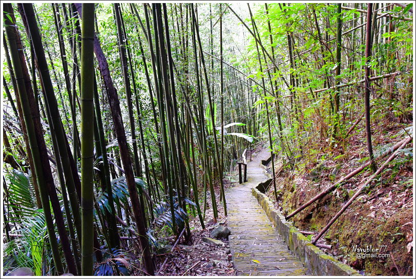 雅吾瑪斯步道 (7).JPG