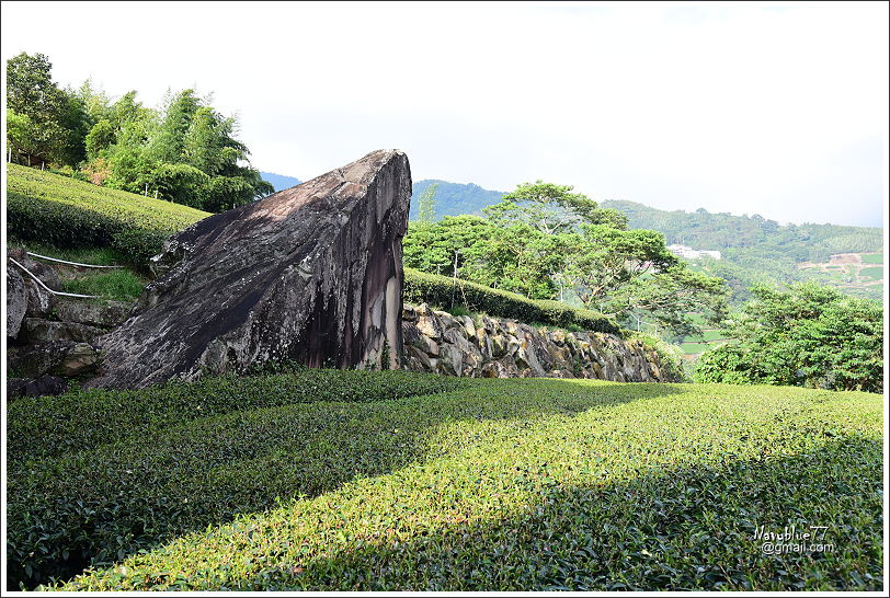 雅吾瑪斯步道 (19).JPG