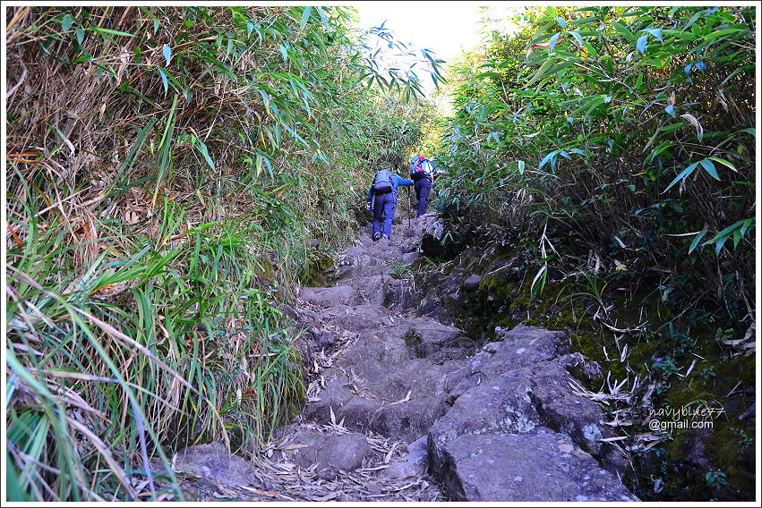 番西邦峰 (19).JPG