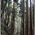 石山引水道 (5).JPG