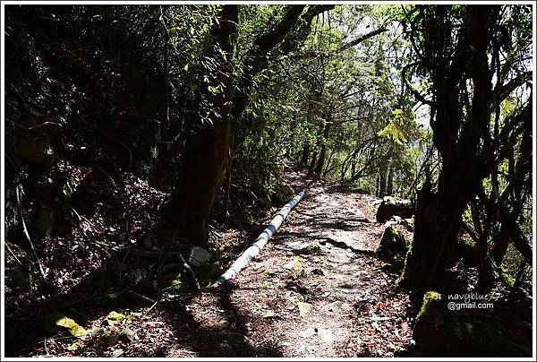 石山引水道 (10).JPG