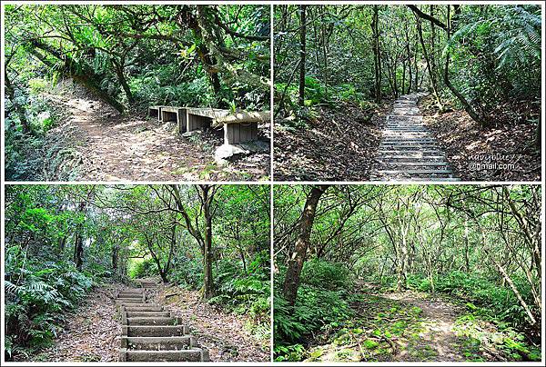 柴寮古道-三貂嶺步道 (11).JPG