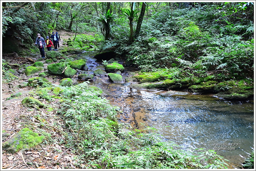 柴寮古道-三貂嶺步道 (16).JPG