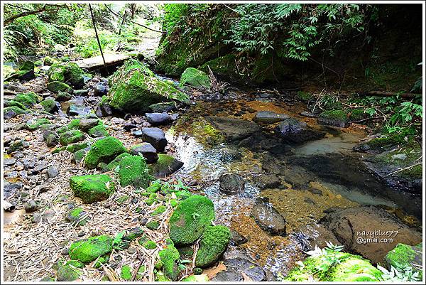 柴寮古道-三貂嶺步道 (13).JPG