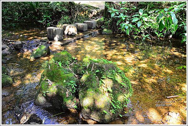 柴寮古道-三貂嶺步道 (19).JPG