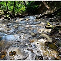 柴寮古道-三貂嶺步道 (26).JPG