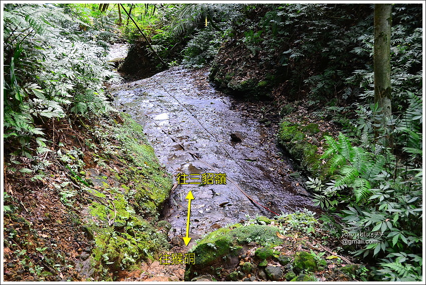 柴寮古道-三貂嶺步道 (24).JPG