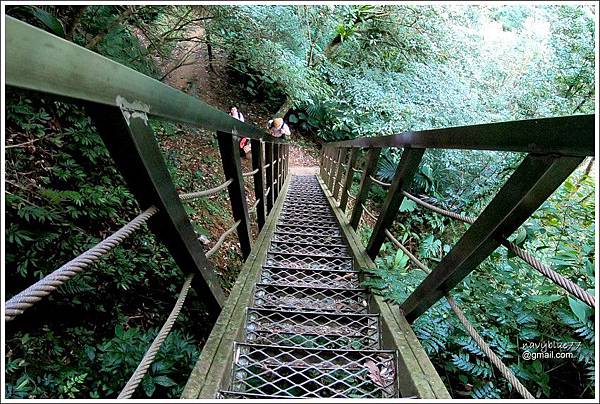 柴寮古道-三貂嶺步道 (39).JPG