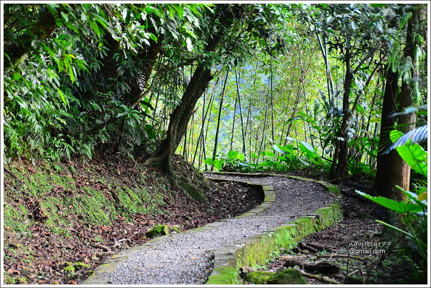 柴寮古道-三貂嶺步道 (43).JPG