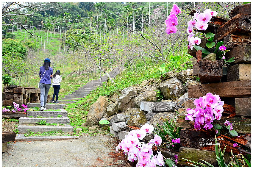 金獅村步道 (8).JPG