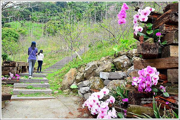 金獅村步道 (8).JPG