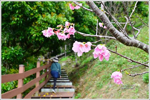 金獅村步道 (11).JPG