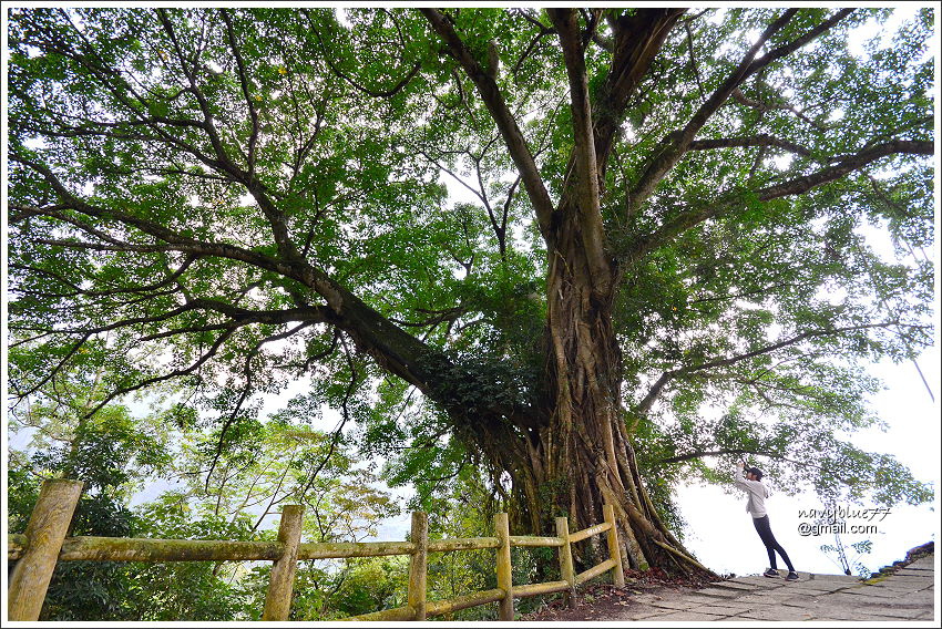 金獅村步道 (20).JPG