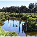 雙春濱海遊憩區 (1).JPG