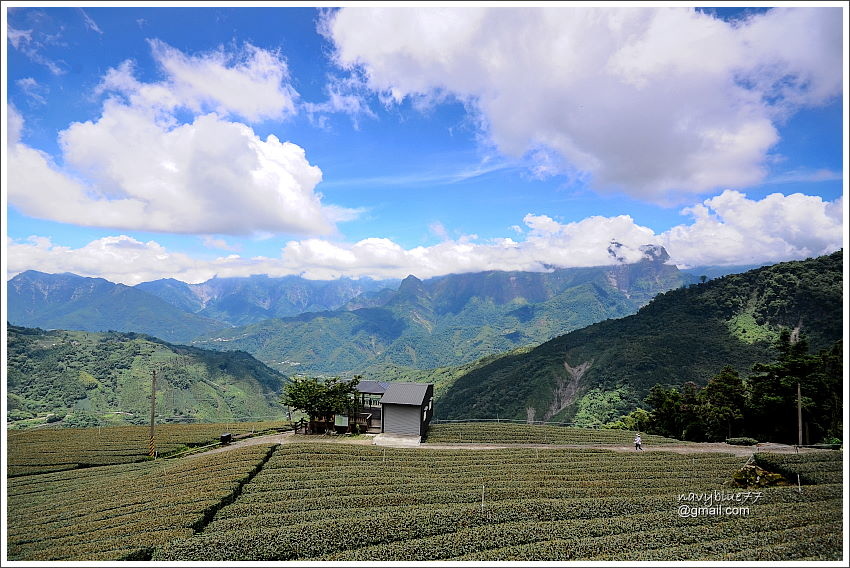 花石溪步道 (26).JPG