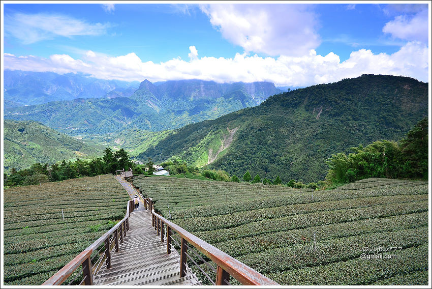 巃仔尾步道 (6).jpg