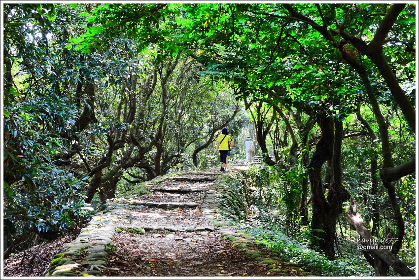 跟著寶寶遊八卦山 (6).JPG