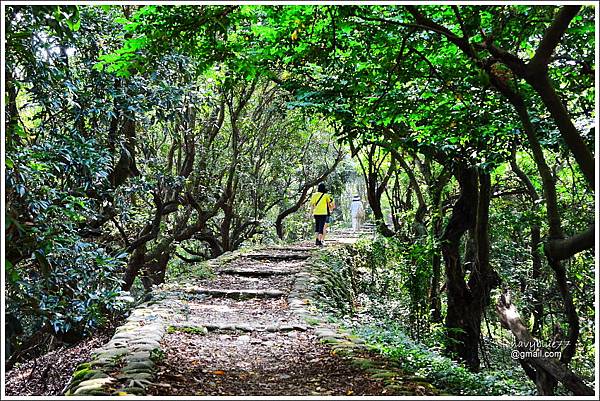 跟著寶寶遊八卦山 (6).JPG