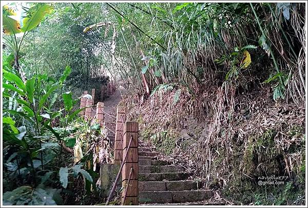 竹崎大坑步道上凌雲巖 (17).jpg