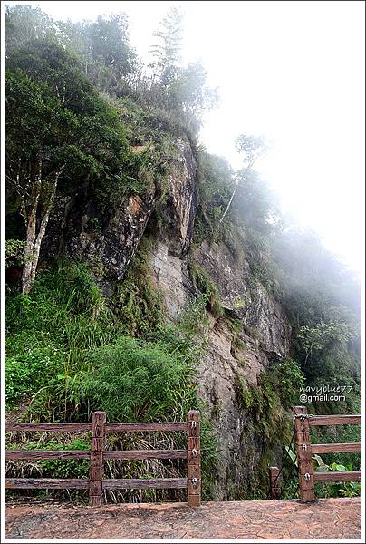 竹崎大坑步道上凌雲巖 (3).JPG