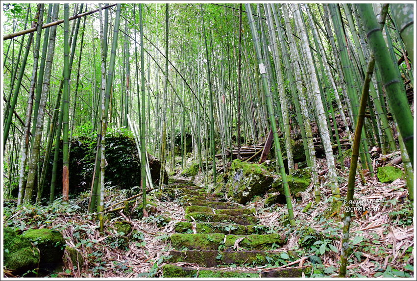 圓水古道-四大天王山20.JPG