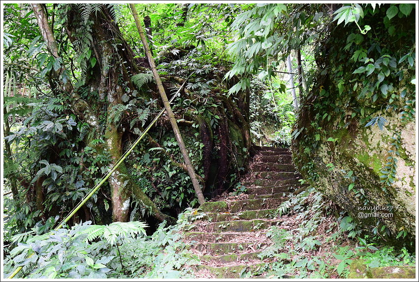 圓水古道-四大天王山21.JPG