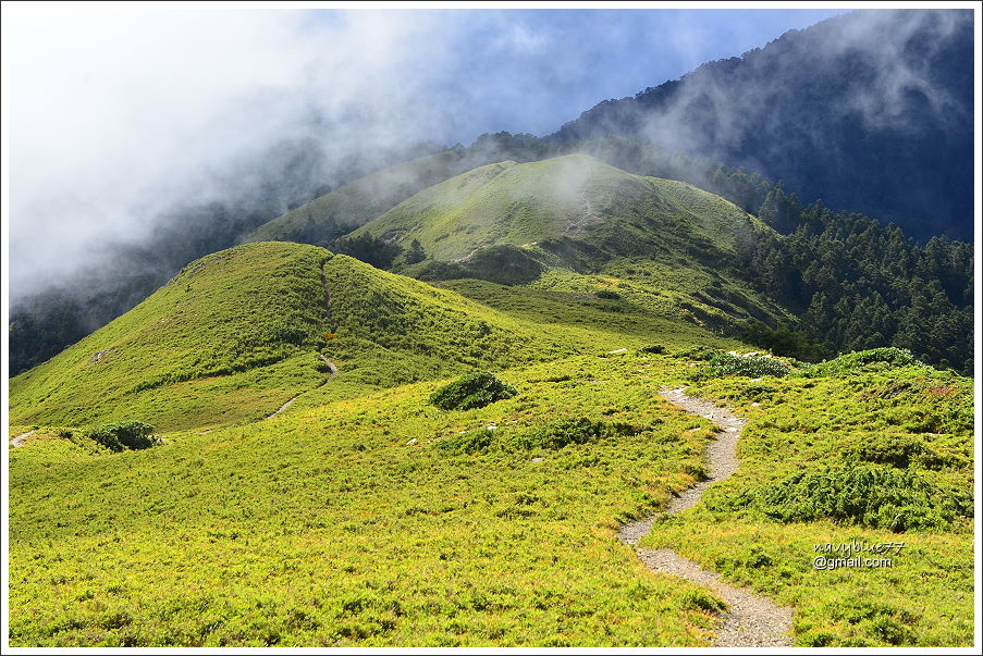 合歡山石門山哈哈山 (62).JPG