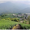 坔埔坑海鼠山 (16).JPG