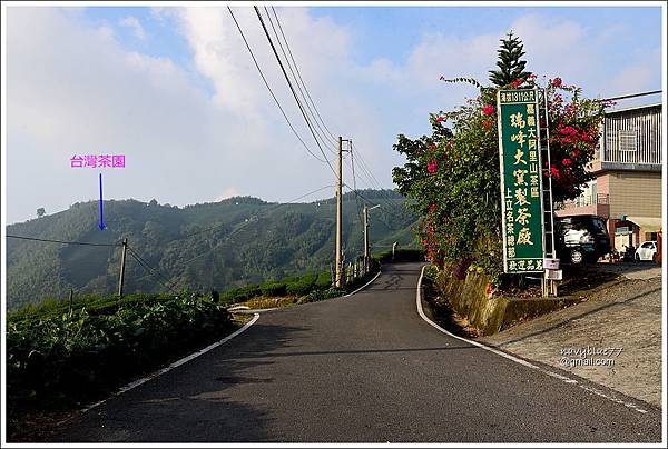 坔埔坑海鼠山 (30).JPG