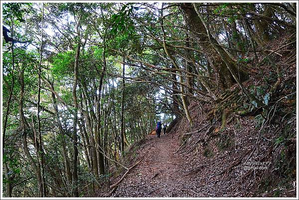 霞喀羅古道 (27).JPG