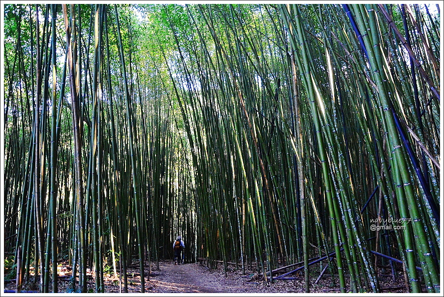 霞喀羅古道 (58).JPG