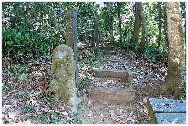 五指山猴洞一線天橫向步道 (8).JPG