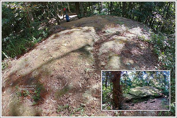 五指山猴洞一線天橫向步道 (11).JPG