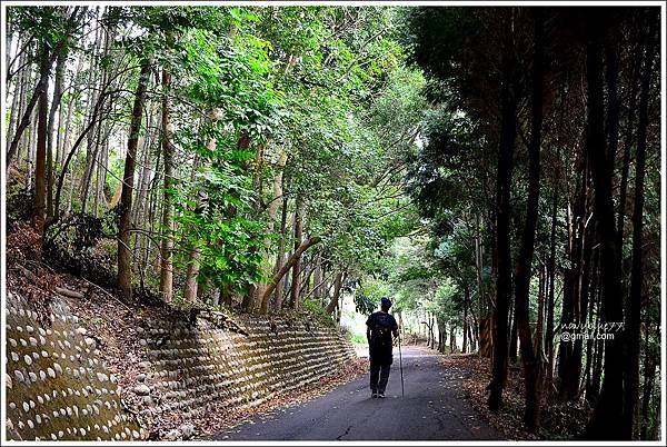 聚興山大胡山 (28).JPG